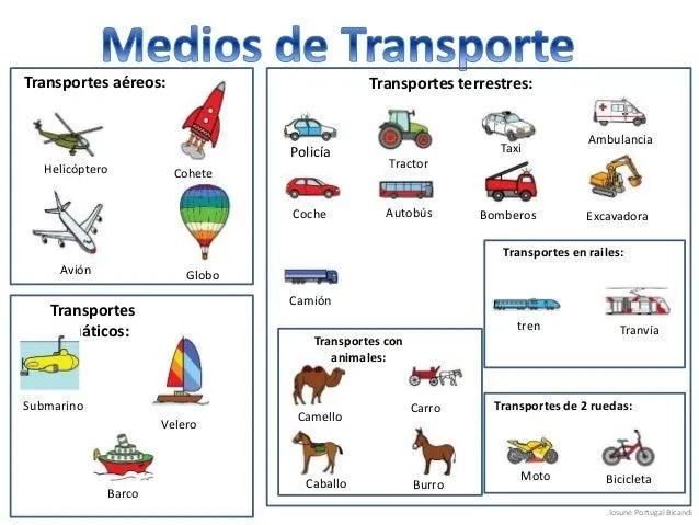 Quã© transporte es