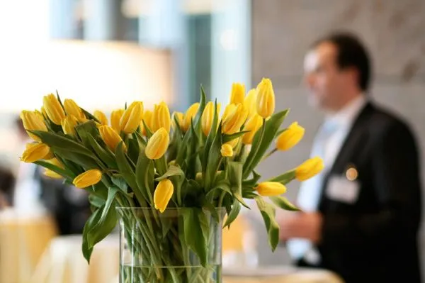 Quais flores ideais para complementar um escritório? | Flores e Flores