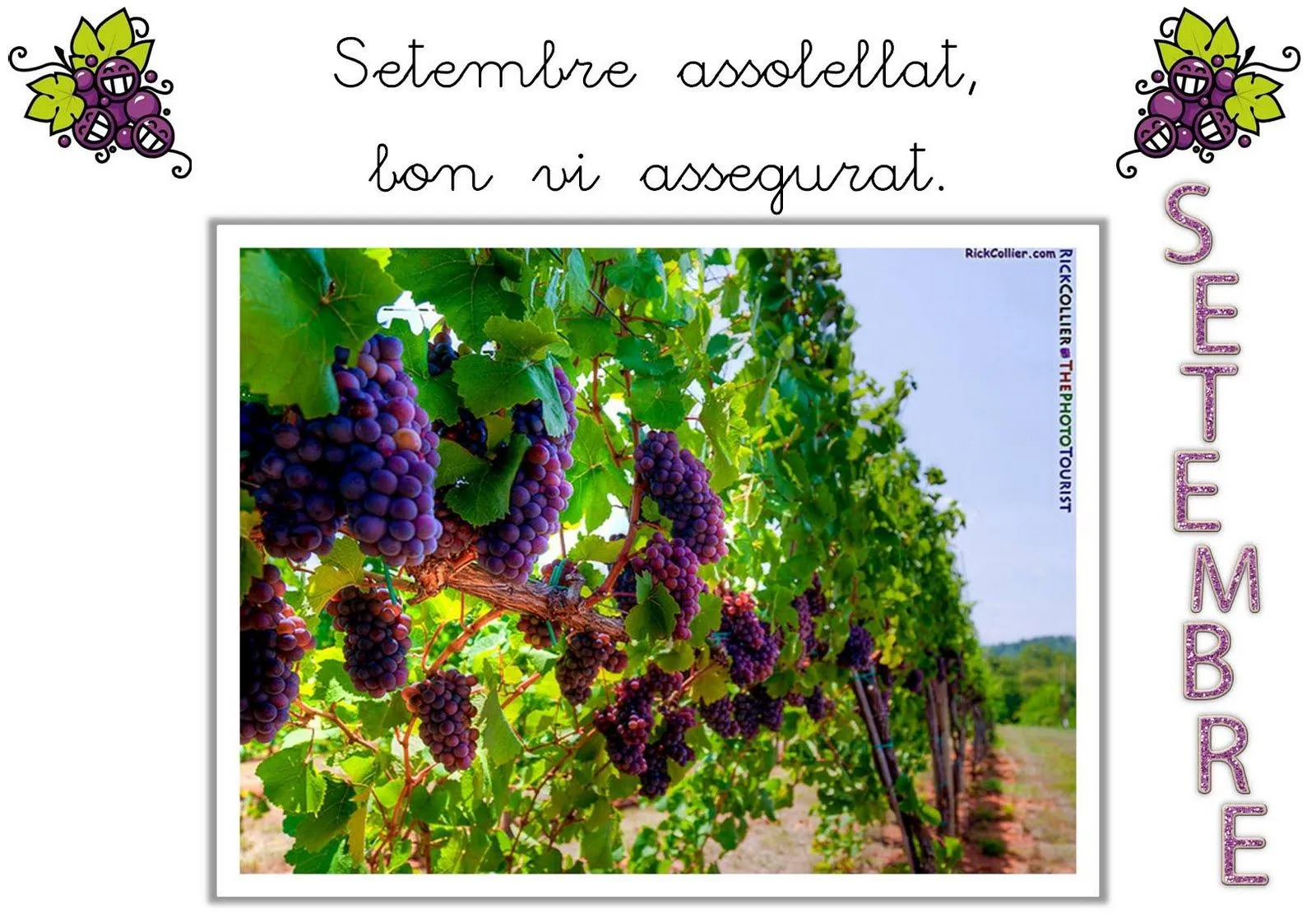 QUÉ HACEMOS HOY EN EL COLE?: DITA DE SETEMBRE