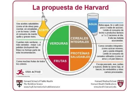 QUÉ SABES DE NUTRICIÓN ?: Pirámide Nutricional o Plato Nutricional