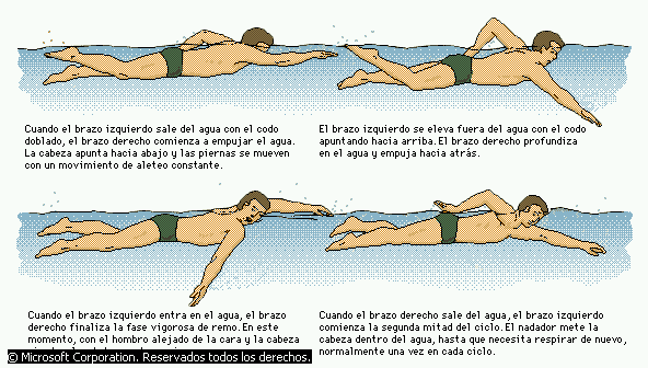 Natación - Monografias.