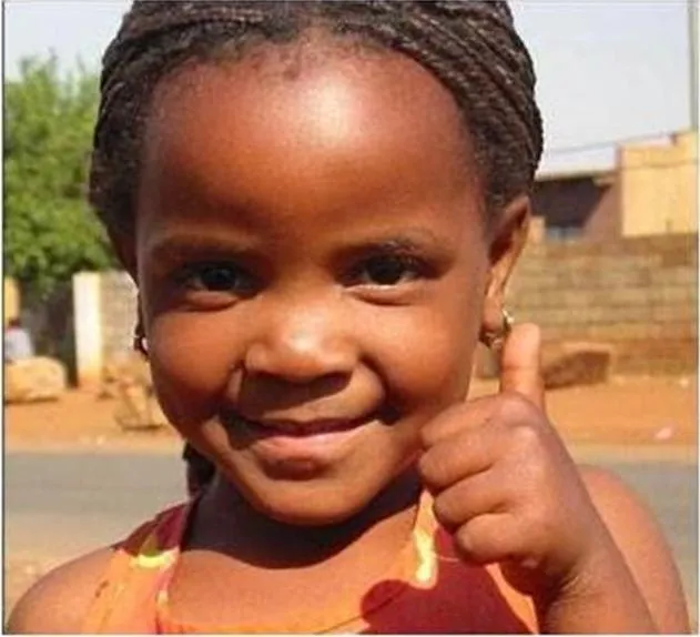 A QUESTÃO ÉTNICO – RACIAL NA LITERATURA INFANTIL | Ofensiva Negritude