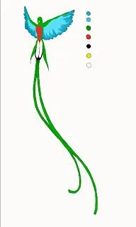 el Quetzal de las Indias