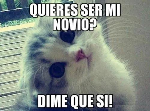 Quieres ser mi novio? | Imagenes Tiernas - Imagenes de Amor