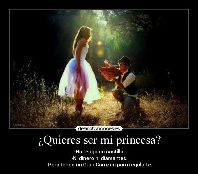 Quieres ser mi princesa? | Desmotivaciones