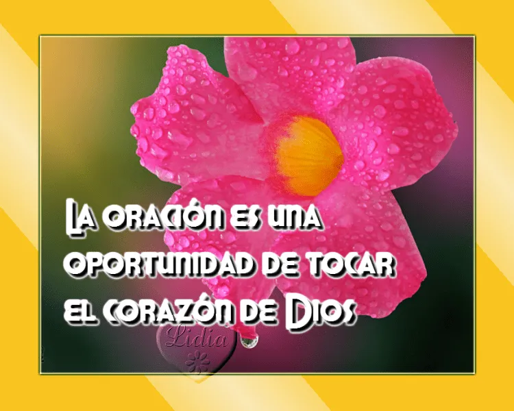 Quieres tocar el corazón de Dios? | Mujer de vanguardia