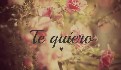 Te quiero-- mi amor <3 citas | y me acompaña siempre | Pinterest