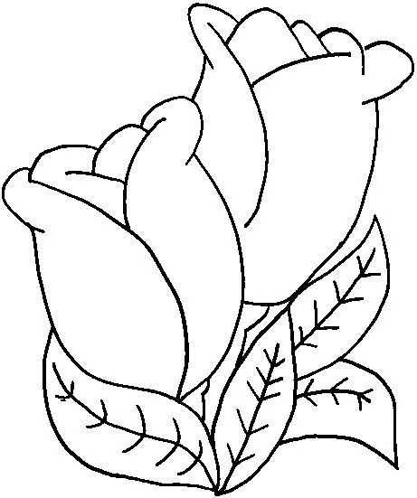 QUIERO UN DIBUJO DE TULIPAN PARA COLOREAR - Imagui