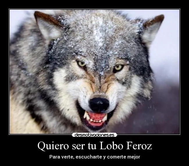 Carteles de Lobo Pag. 158 | Desmotivaciones