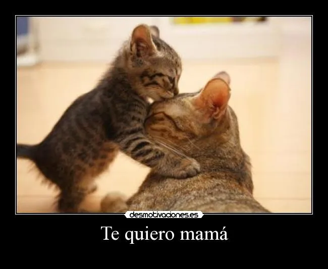 Te quiero mamá | Desmotivaciones