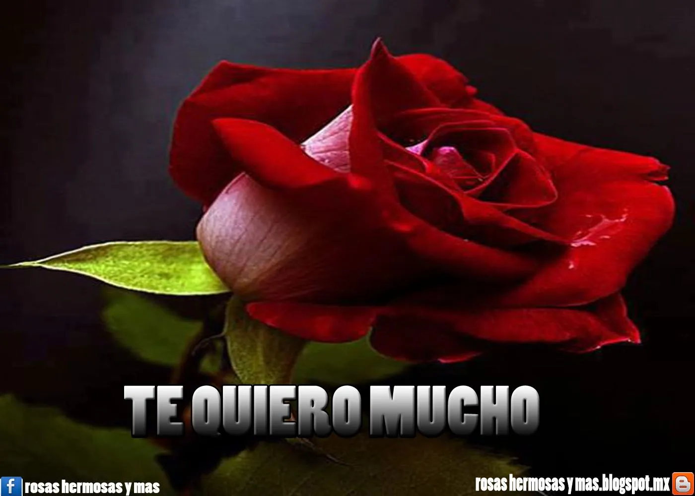 TE QUIERO MUCHO - ROSAS HERMOSAS Y MAS