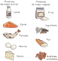 Alimentos de origen animal vegetal y mineral para colorear - Imagui