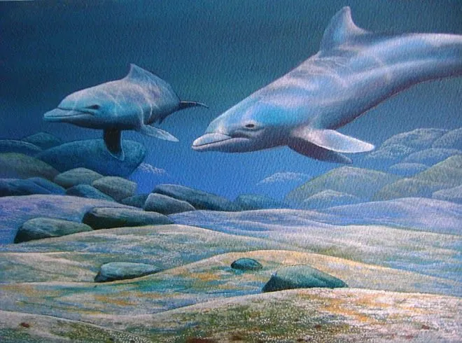 En pintura de delfines - Imagui