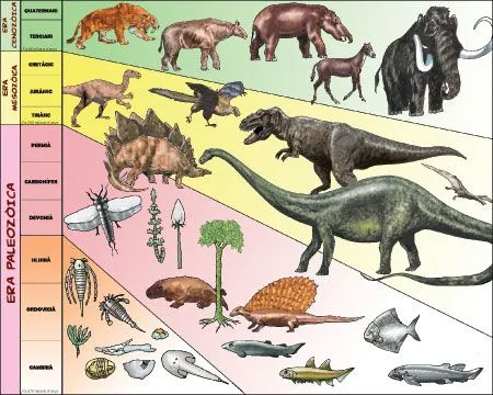 EL QUINTO NIVEL: Trabajo de Investigación III: Los dinosaurios