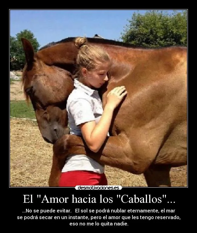 El "Amor hacia los "Caballos"... | Desmotivaciones