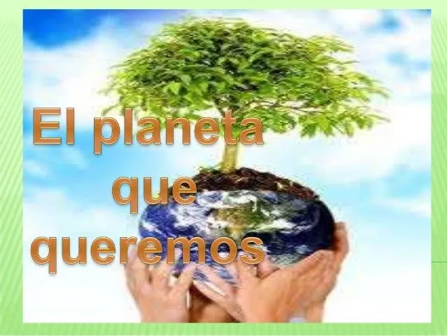 Trabajo Final "El cuidado del medio ambiente en la red"