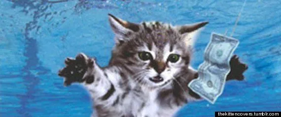 r-GATOS-EN-PORTADAS-DE-DISCOS- ...