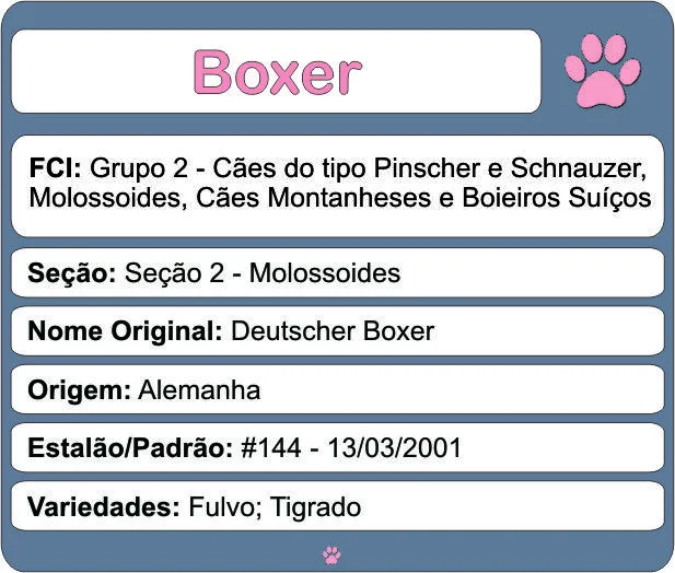 Raças – Boxer « Blog Bom Pra Cachorro