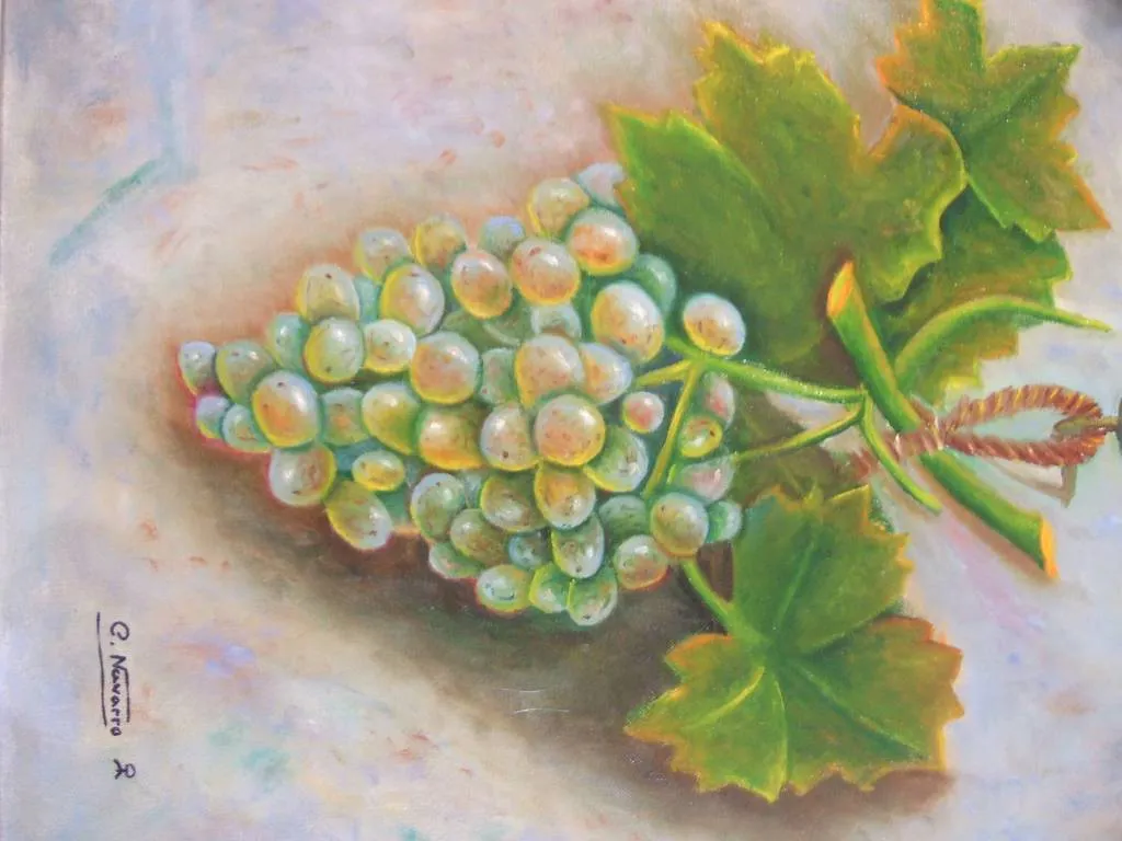 Racimo de uvas Carmen Navarro Arcos - Artelista.