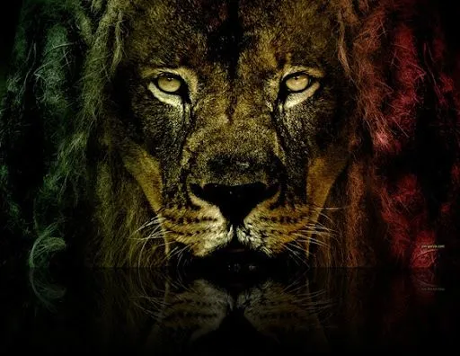 RADIO BLOG BABYLON FIGHTING ✡: Leon de juda (lion of judah)