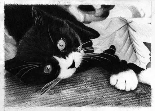 Rafa Navarro - dibujos a lapiz