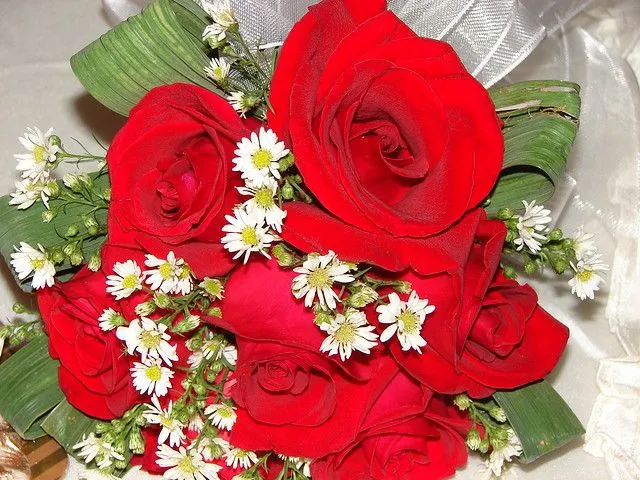 Ramillete de siete flores rojas | Flickr - Photo Sharing!