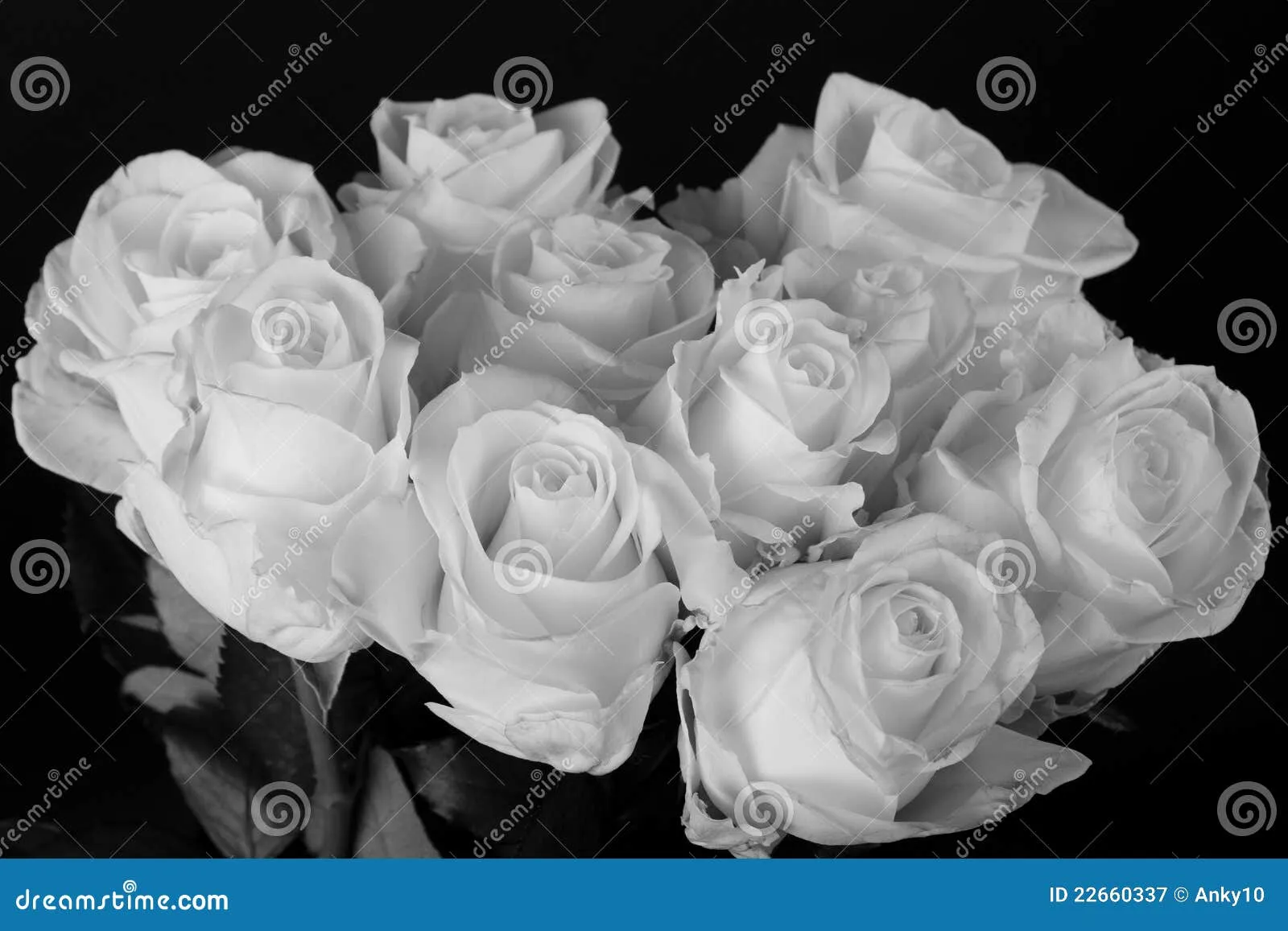 Ramo Blanco Y Negro De Rosas Blancas Sobre Negro Fotografía de ...