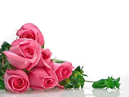 Un ramo de material de imagen de rosas Free Download