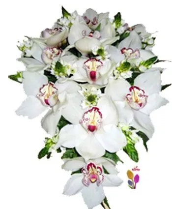 Ramo de novia con caida de orquideas cymbidium y ornitogalum.