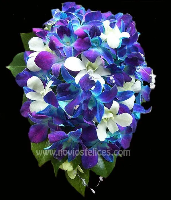 Ramo De Orquídea Azul en Pinterest