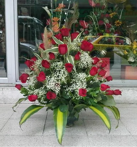 Ramo de Rosas Rojas Aniversario # 3 — Comprar Ramo de Rosas Rojas ...