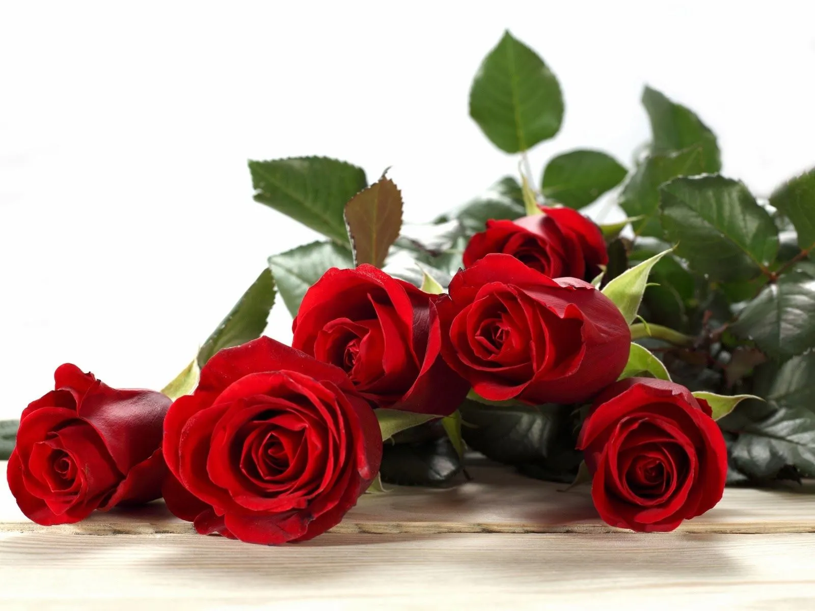 Ramo de rosas rojas ~ Mejores Fotos del Mundo | Fotografías de ...