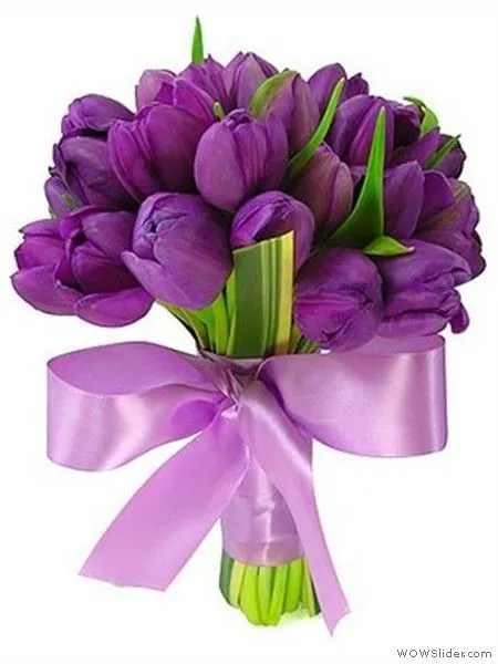 ramos de novia TULIPANES morados - Buscar con Google | Purple ...