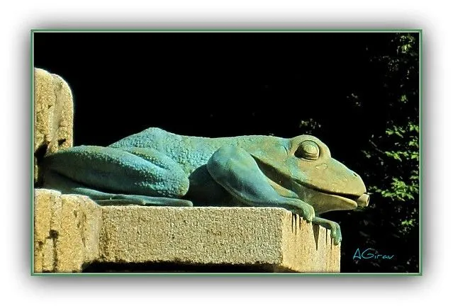 y esto es una rana verde... | Flickr - Photo Sharing!