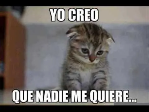 rap romantico recordando tu sonrisa mc gato - YouTube