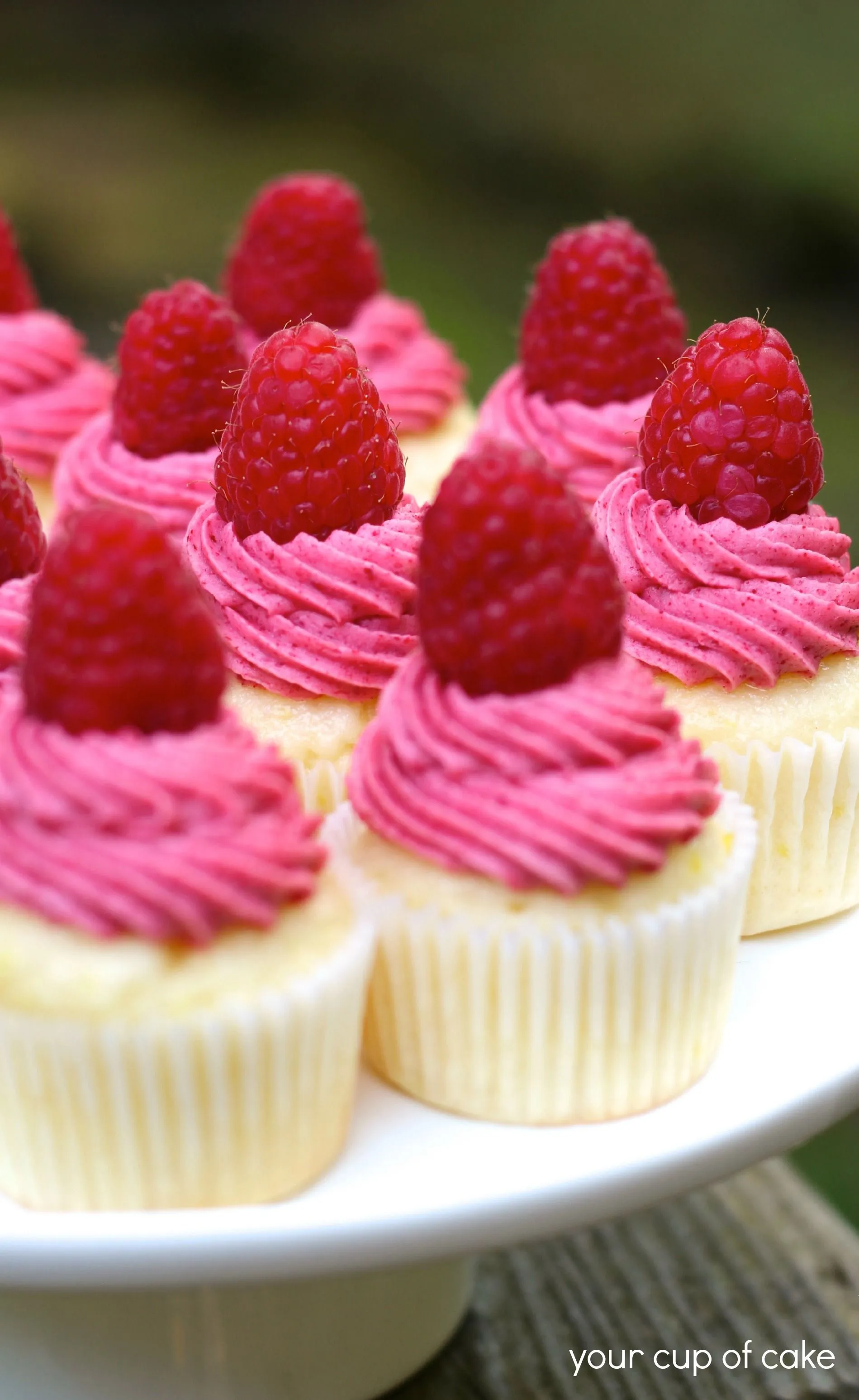 Raspberry Lemonade Mini Cupcakes - Your Cup of Cake