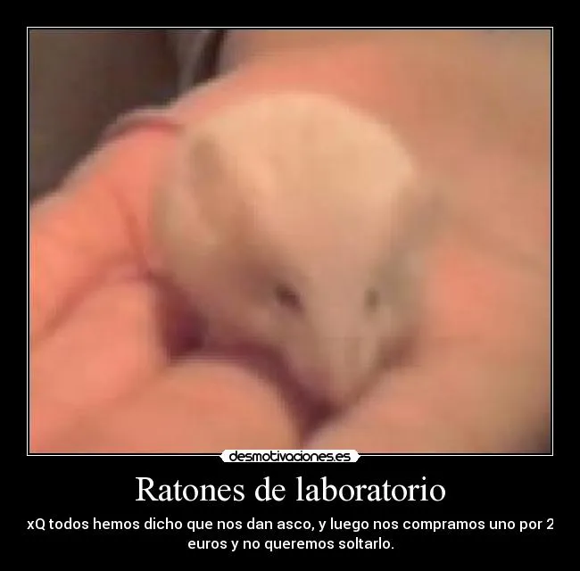 Ratones de laboratorio | Desmotivaciones