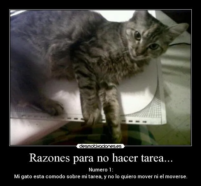 Razones para no hacer tarea... | Desmotivaciones