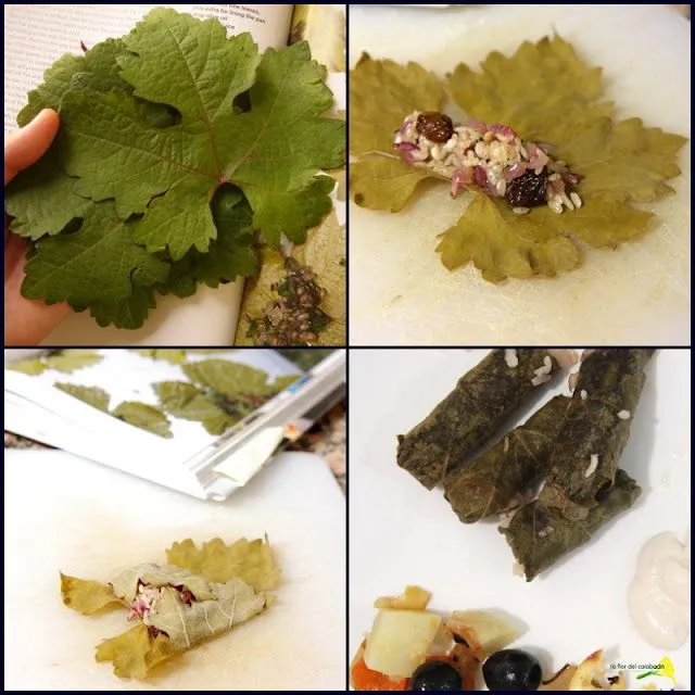 Receta Daring Cooks Oct'10: dolmades - hojas de parra rellenas ...