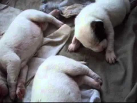 En el lugar había desde recién nacidos hasta mayores de 40 años ...