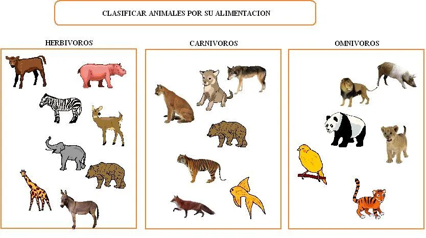 Recortes de animales omnivoros - Imagui