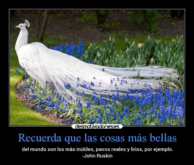 Recuerda que las cosas más bellas | Desmotivaciones