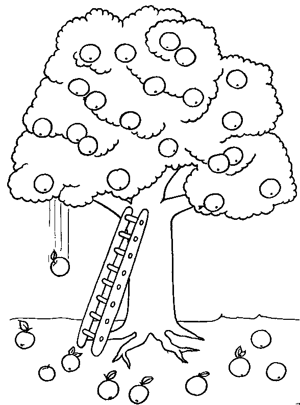 RECURSOS y ACTIVIDADES para Educación Infantil: Dibujos para colorear de  ARBOLES