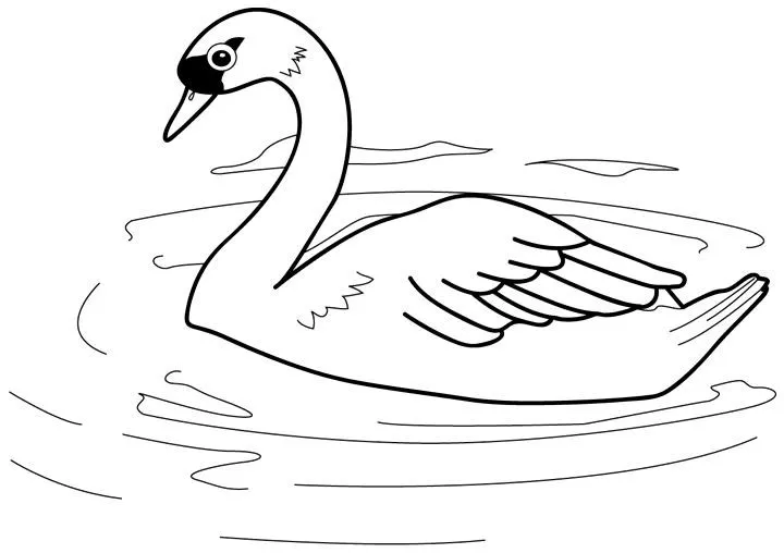 RECURSOS y ACTIVIDADES para Educación Infantil: Dibujos para colorear de  CISNES