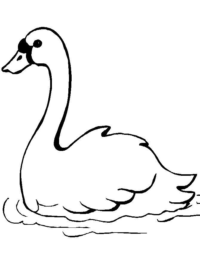 RECURSOS y ACTIVIDADES para Educación Infantil: Dibujos para colorear de  CISNES