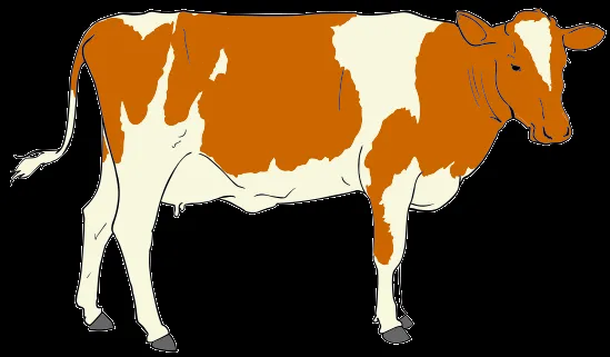 Recursos para apoyar el EABP: Vaca (Cow clipart 01.