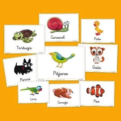 Recursos para el aula: Animales domesticos - Educapeques