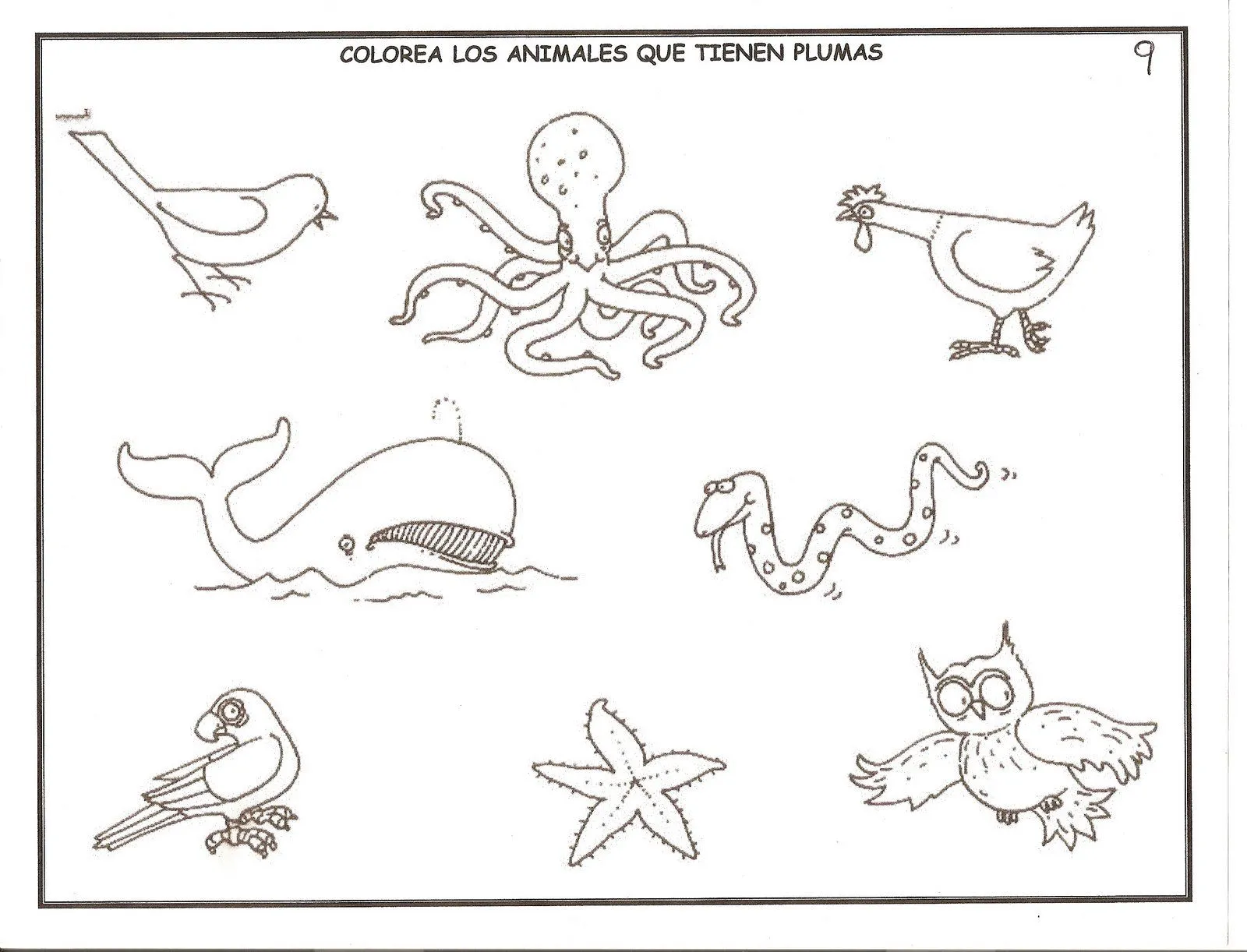 RECURSOS PARA EL AULA: FICHAS EDUCACIÓN INFANTIL