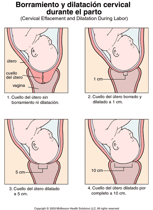 Recursos para bebés: Parto: fase de dilatación