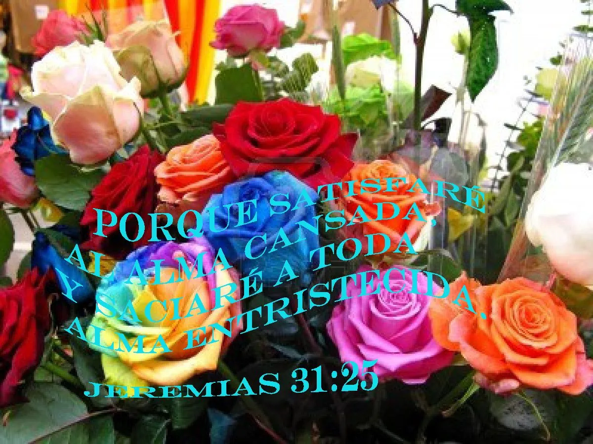 Rosas con textos biblicos - Imagui